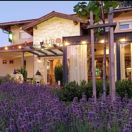 Bed and Breakfast Aurora Panzió Bük Esterno foto