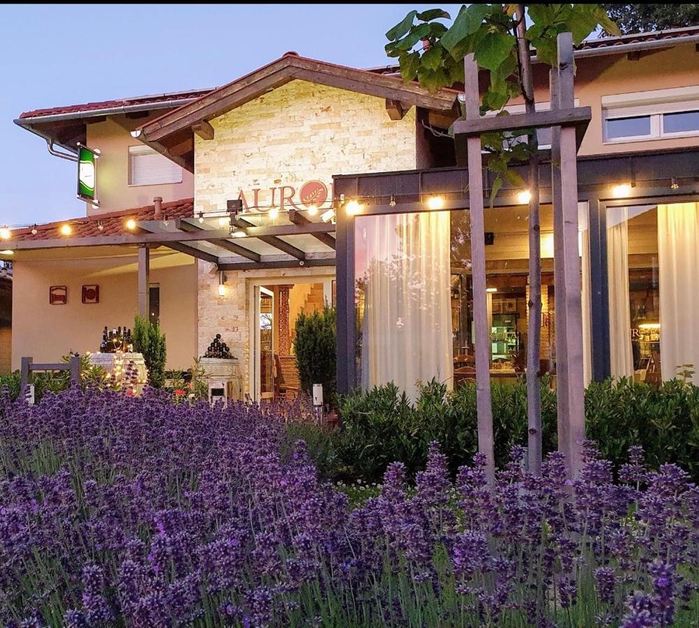 Bed and Breakfast Aurora Panzió Bük Esterno foto