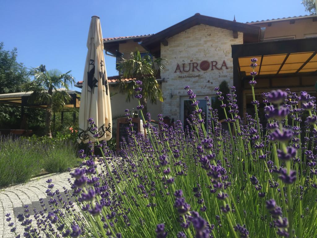 Bed and Breakfast Aurora Panzió Bük Esterno foto